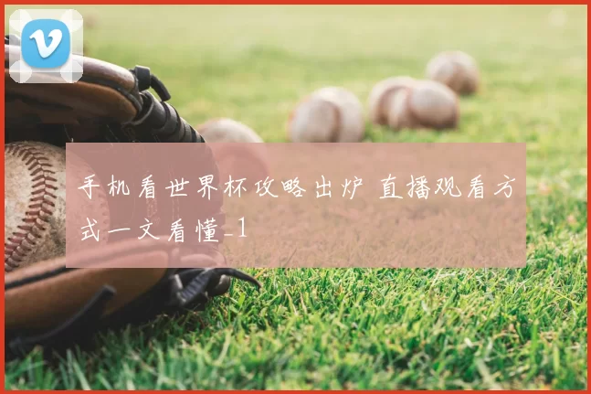 手机看世界杯攻略出炉 直播观看方式一文看懂_1