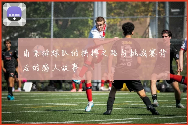 南京排球队的拼搏之路与挑战赛背后的感人故事