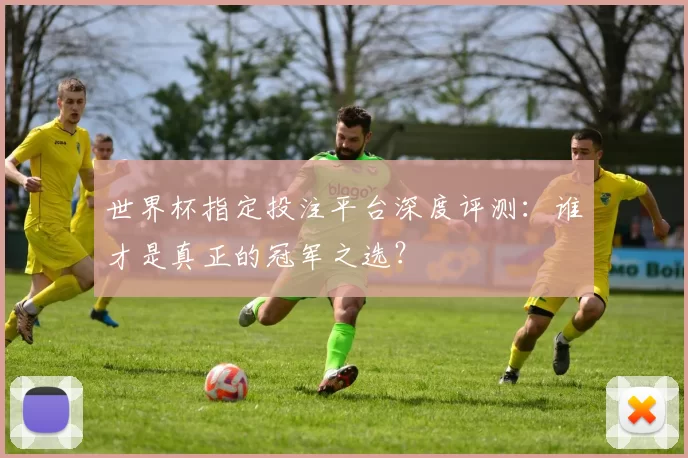 世界杯指定投注平台深度评测：谁才是真正的冠军之选？