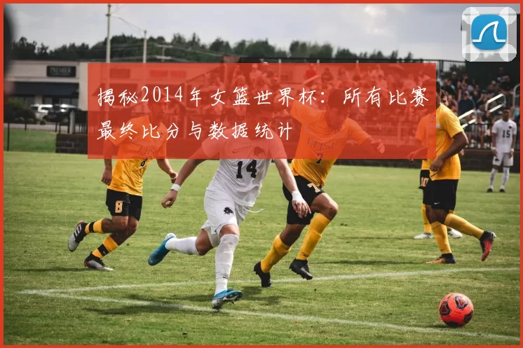 揭秘2014年女篮世界杯:所有比赛最终比分与数据统计