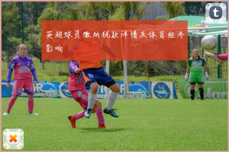 英超球员缴纳税款详情及体育经济影响