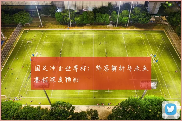 国足冲击世界杯:阵容解析与未来赛程深度预测
