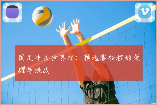 国足冲击世界杯：预选赛征程的荣耀与挑战