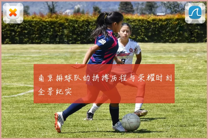 南京排球队的拼搏历程与荣耀时刻全景纪实