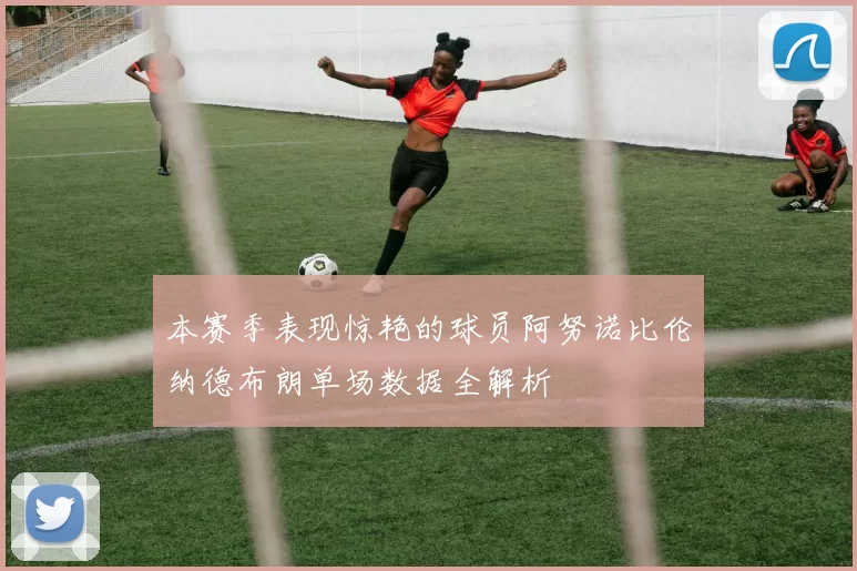 本赛季表现惊艳的球员阿努诺比伦纳德布朗单场数据全解析