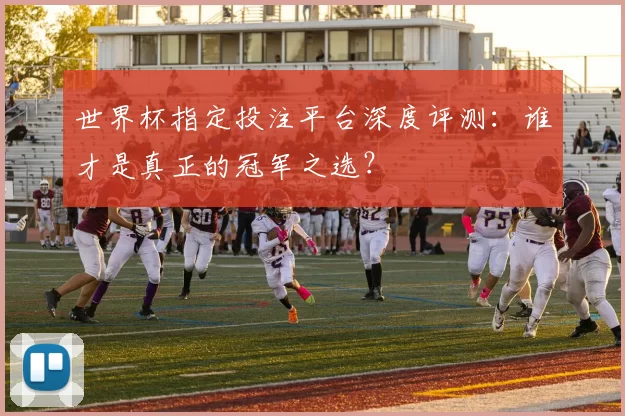 世界杯指定投注平台深度评测：谁才是真正的冠军之选？