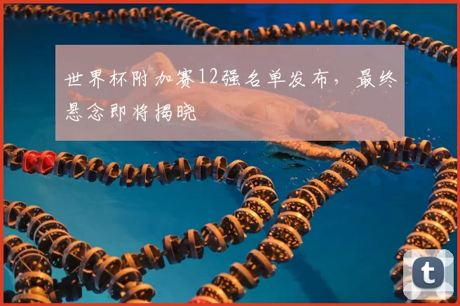 世界杯附加赛12强名单发布,最终悬念即将揭晓