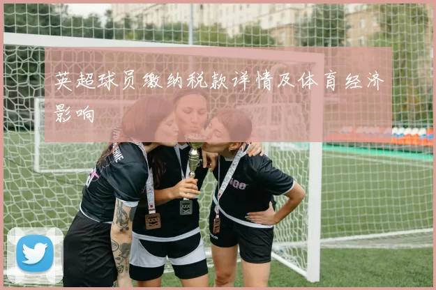 英超球员缴纳税款详情及体育经济影响