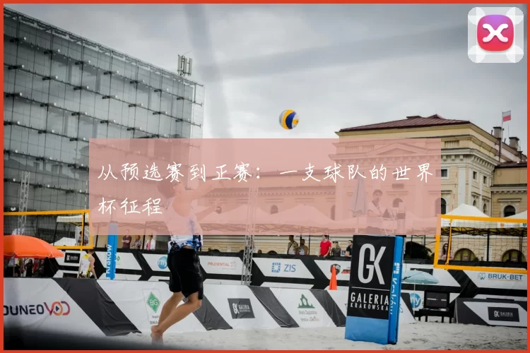 从预选赛到正赛：一支球队的世界杯征程