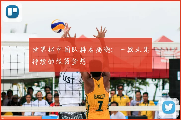 世界杯中国队排名揭晓:一段未完待续的绿茵梦想