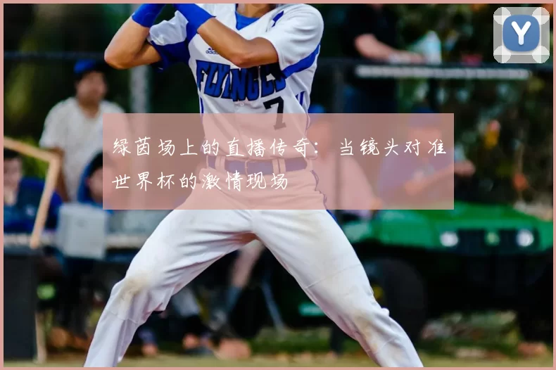绿茵场上的直播传奇：当镜头对准世界杯的激情现场