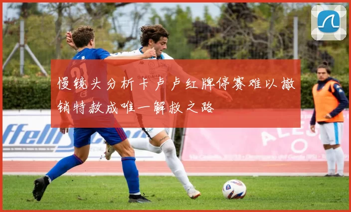 慢镜头分析卡卢卢红牌停赛难以撤销特赦成唯一解救之路