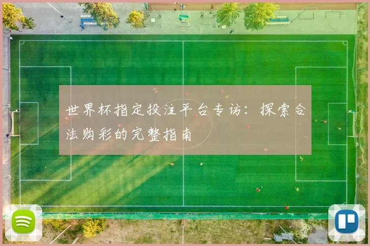 世界杯指定投注平台专访:探索合法购彩的完整指南