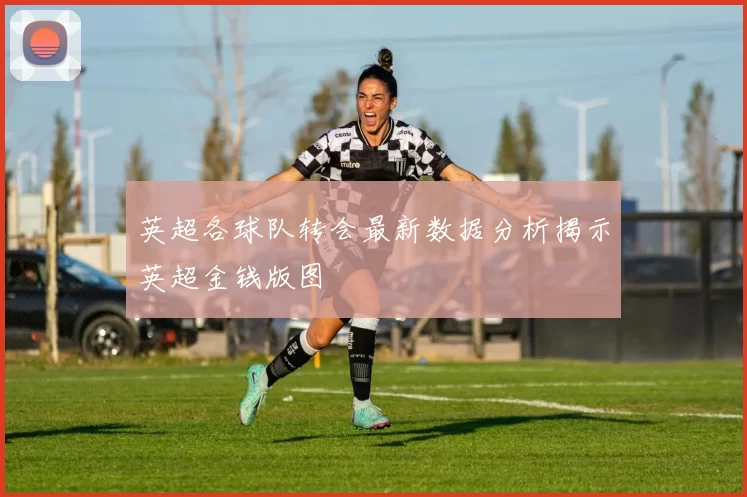 英超各球队转会最新数据分析揭示英超金钱版图