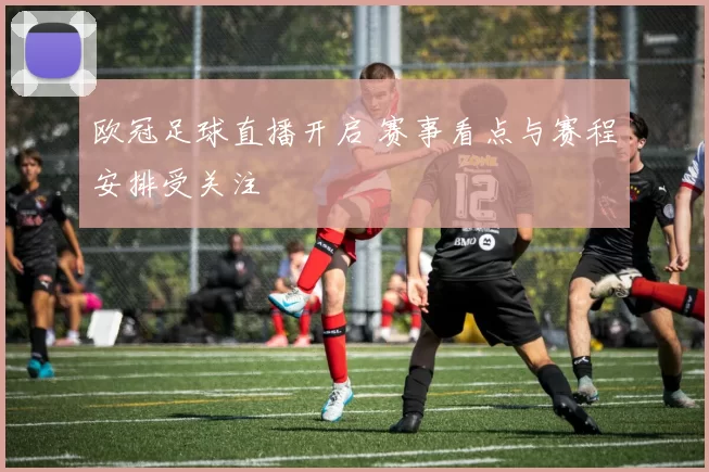 欧冠足球直播开启 赛事看点与赛程安排受关注