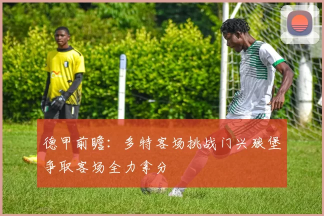 德甲前瞻：多特客场挑战门兴狼堡争取客场全力拿分