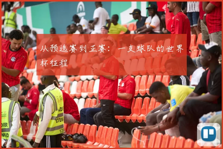 从预选赛到正赛：一支球队的世界杯征程