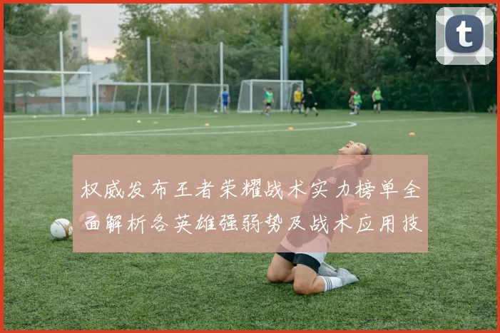 权威发布王者荣耀战术实力榜单全面解析各英雄强弱势及战术应用技巧