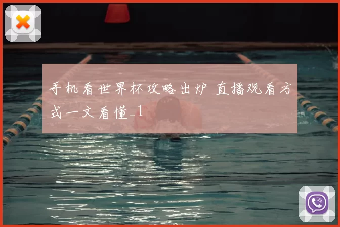 手机看世界杯攻略出炉 直播观看方式一文看懂_1