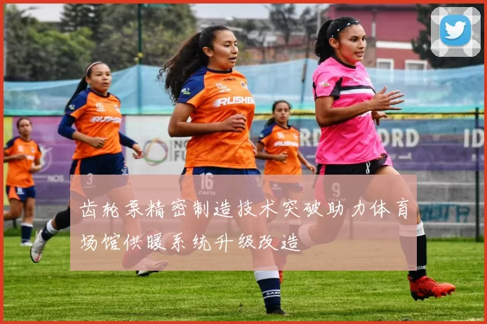齿轮泵精密制造技术突破助力体育场馆供暖系统升级改造