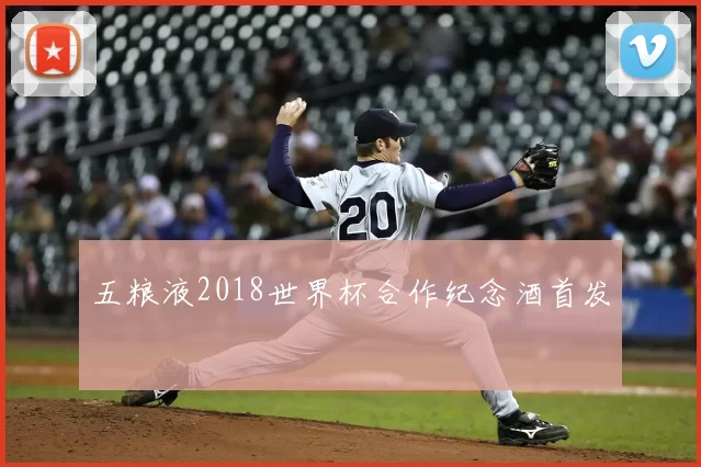 五粮液2018世界杯合作纪念酒首发
