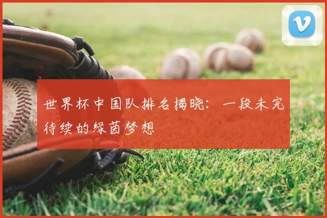 世界杯中国队排名揭晓:一段未完待续的绿茵梦想