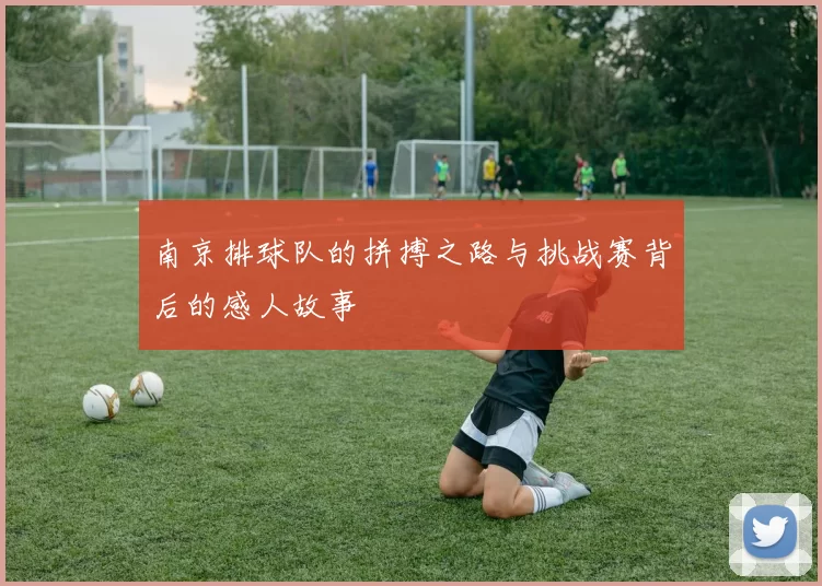 南京排球队的拼搏之路与挑战赛背后的感人故事
