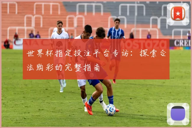 世界杯指定投注平台专访：探索合法购彩的完整指南